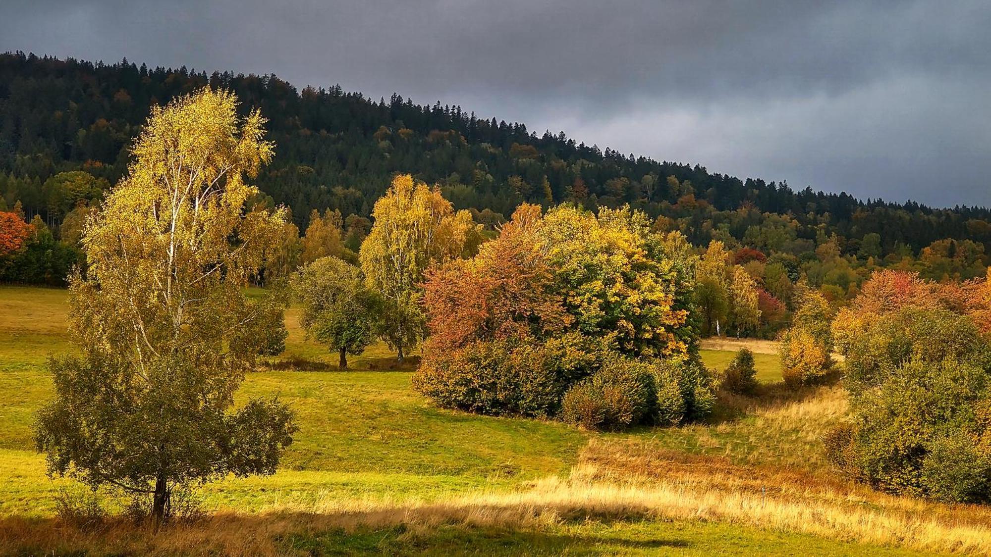 Rezydencja Ostoja สโตรเนีย ชล็องสเกีย ภายนอก รูปภาพ