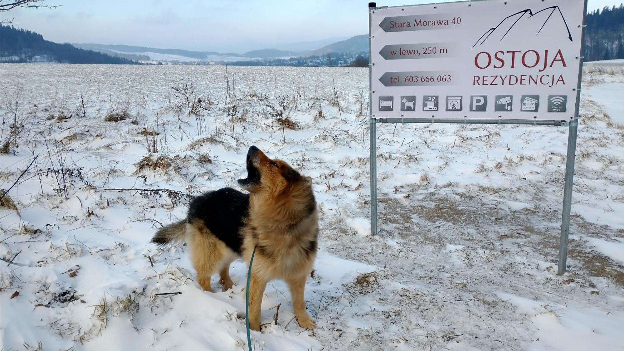Rezydencja Ostoja สโตรเนีย ชล็องสเกีย ภายนอก รูปภาพ